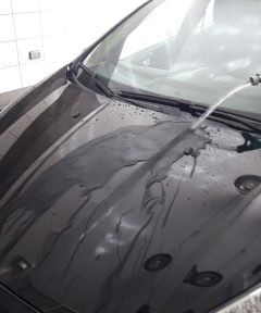 Nano Perfect Paint Protect 9Η-12Η