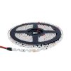 LED S-STRIP 2835 IP65 60LEDs/m